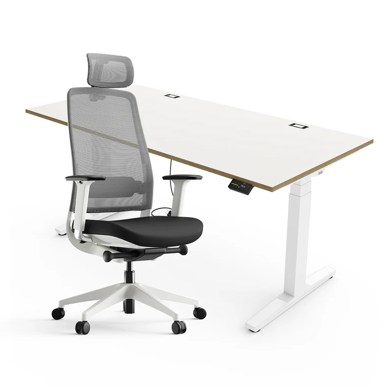 Expert Set: Desk & Chair Expert