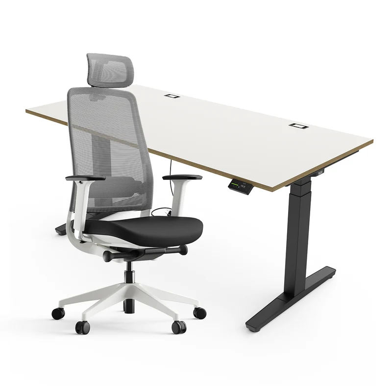 Expert Set: Desk & Chair Expert