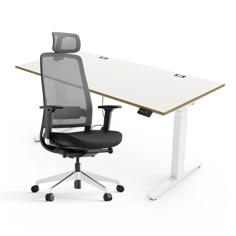 Expert Set: Desk & Chair Expert