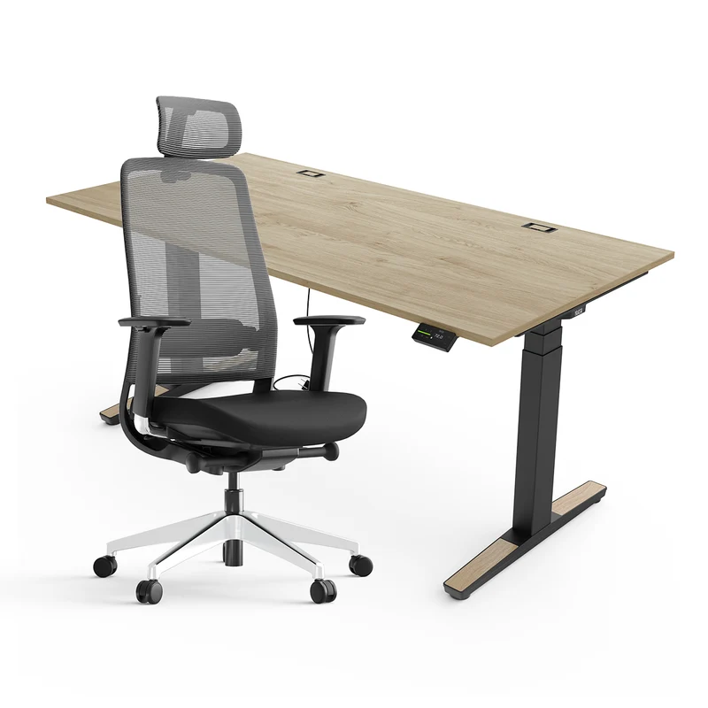 Expert Set: Desk & Chair Expert