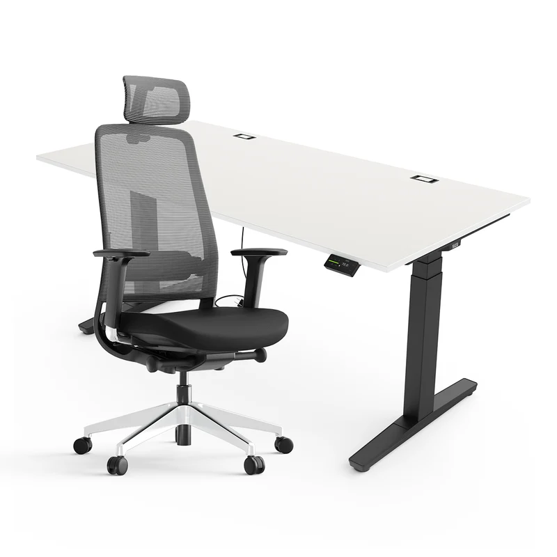 Expert Set: Desk & Chair Expert