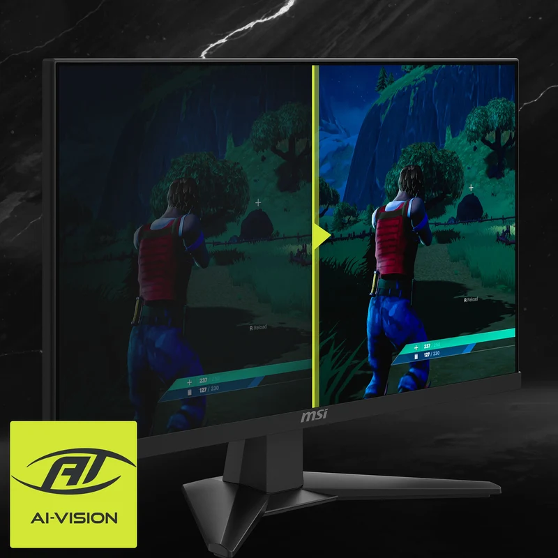 2er Pack - MAG 244F | MSI Gaming Monitor