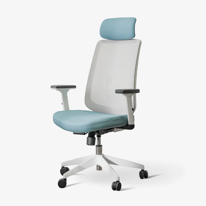Ergonomic Chair C3-Series