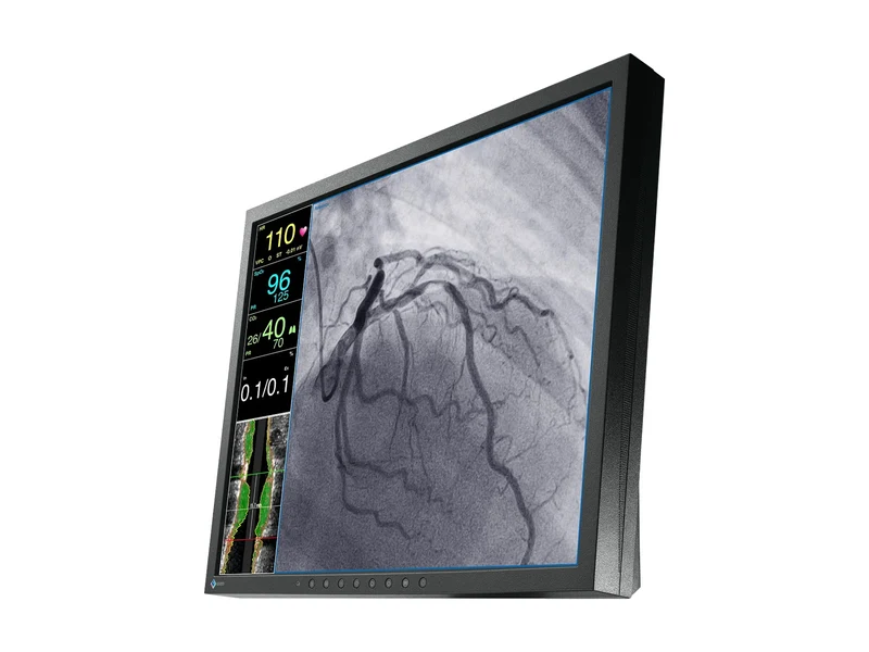 Eizo CuratOR 19" SXGA Surgical Endoscopy Medical LCD Display Monitor (LX1910-S)