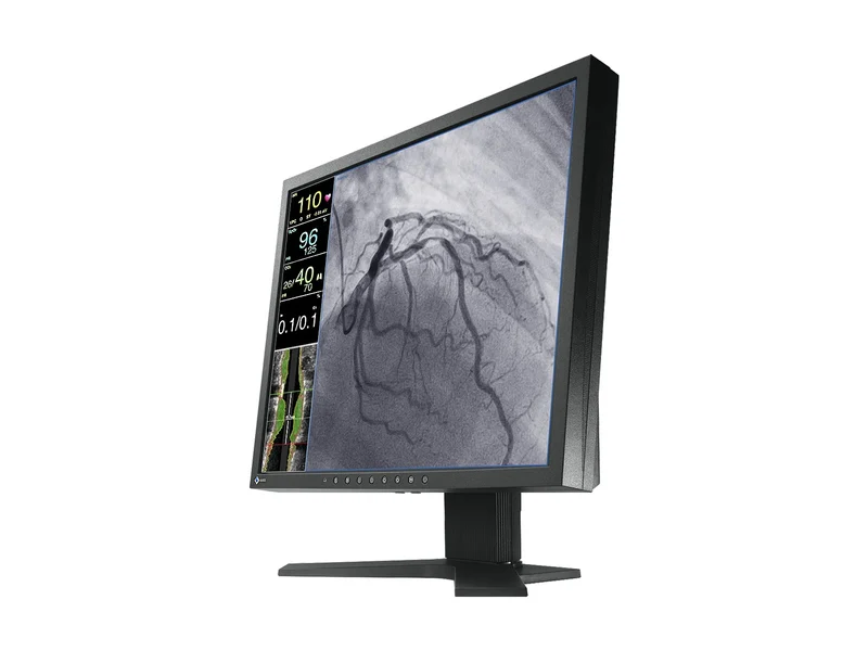 Eizo CuratOR 19" SXGA Surgical Endoscopy Medical LCD Display Monitor (LX1910-S)