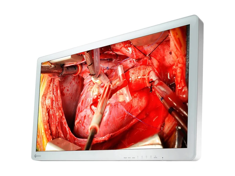 Eizo 26" FHD Surgical Endoscopy Medical LCD Display Monitor (EX2621)