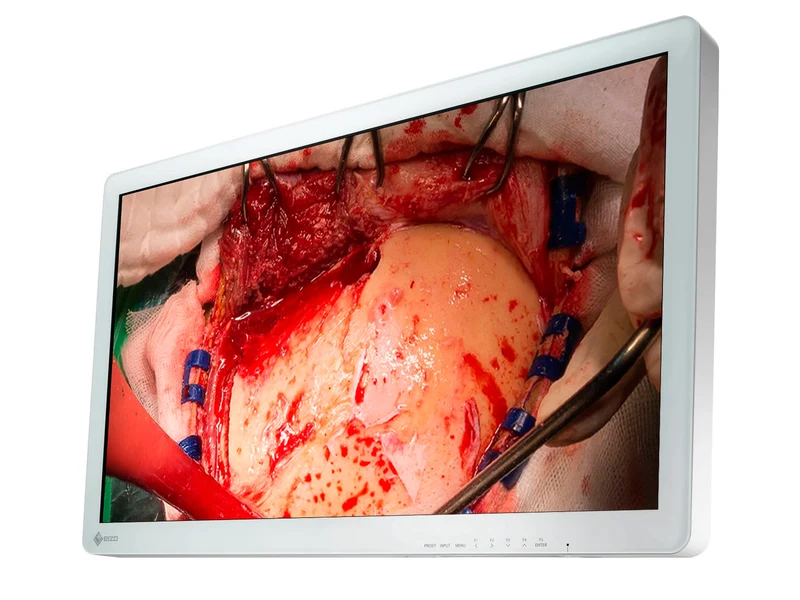 Eizo CuratOR 31.5" FHD Surgical Endoscopy Medical Display Monitor (EX3220)
