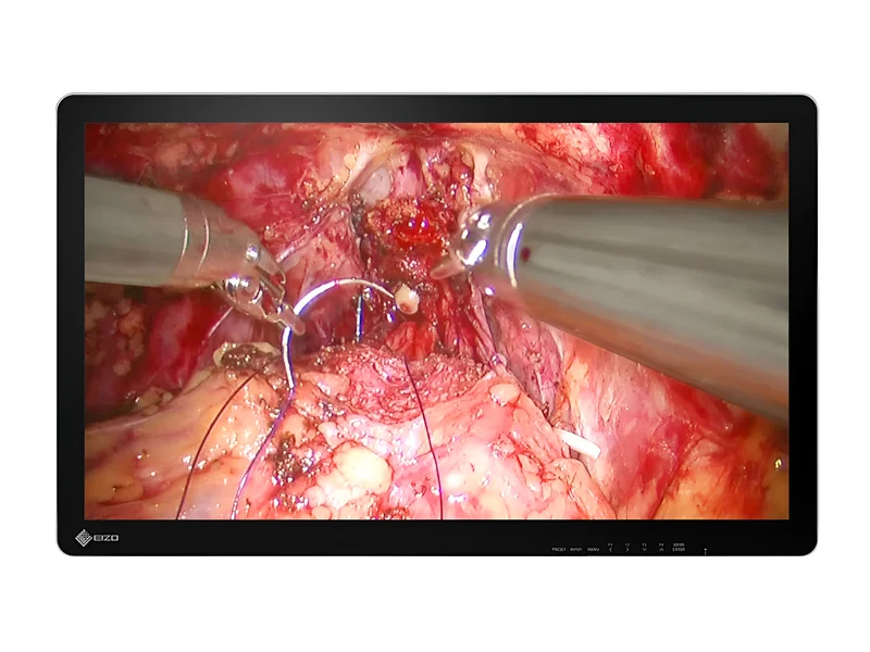Eizo EX3242-3D 32" 4K 3D IPS Surgical Endoscopy Medical Display Monitor (EX3242-3D)