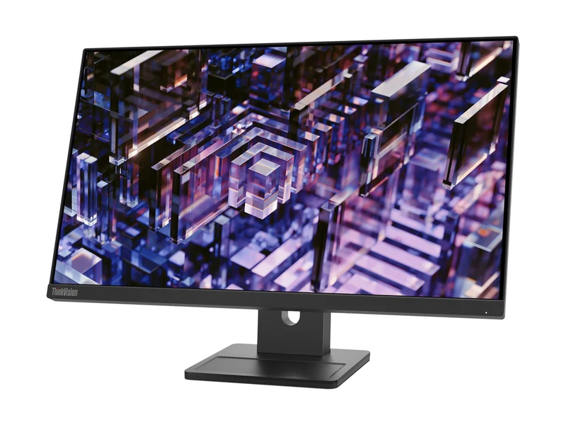 Lenovo ThinkVision E24-30 24" Full HD 1920 x 1080 Color Display Monitor (63EDMAR2US)
