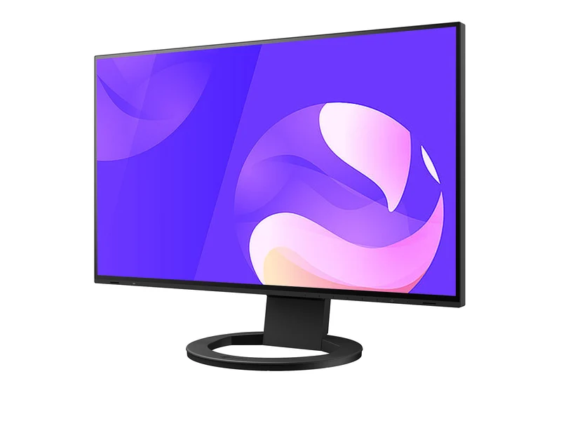 Eizo FlexScan EV2495 1920 x 1200 24" Color Display Monitor (EV2495FX-BK)