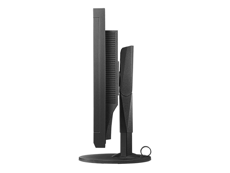Eizo RadiForce MX242W 2.3MP 24" Color Clinical Review Display (MX242W-BK)