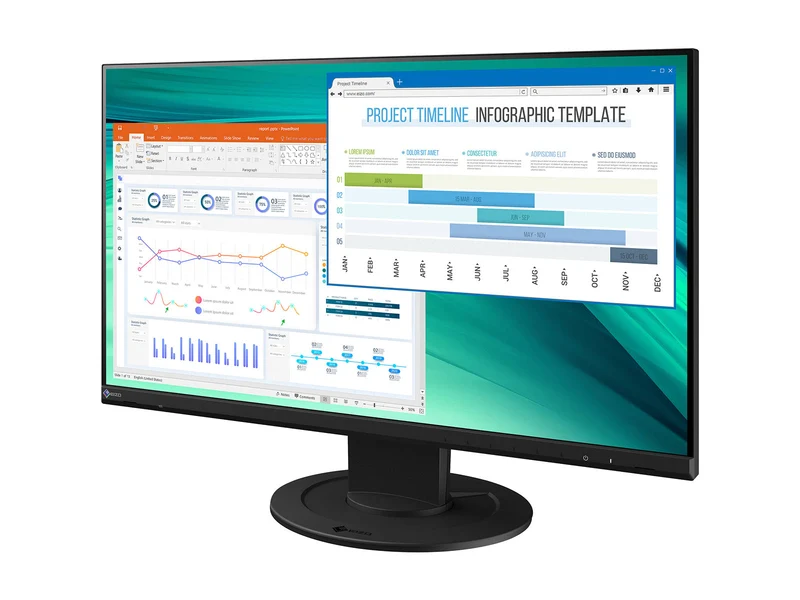 Eizo FlexScan EV2460FX-BK FHD 1920 x 1080 24" Color Display Monitor (EV2460FX-BK)