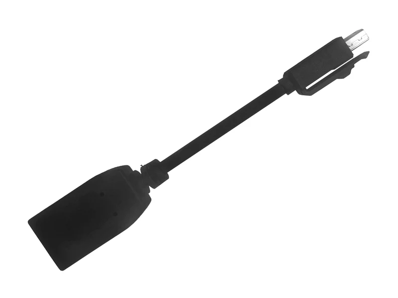 HP Mini DisplayPort to DisplayPort Video Signal Adapter Converter (703216-001)